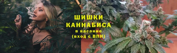 экстази Богданович